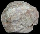 Crystal Filled Dugway Geode (Polished Half) #67488-1